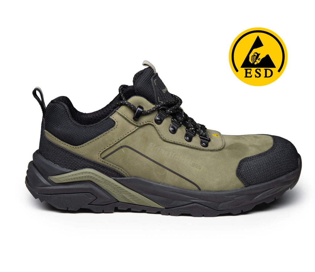 LOW SHOES BEARFIELD (BBFP)