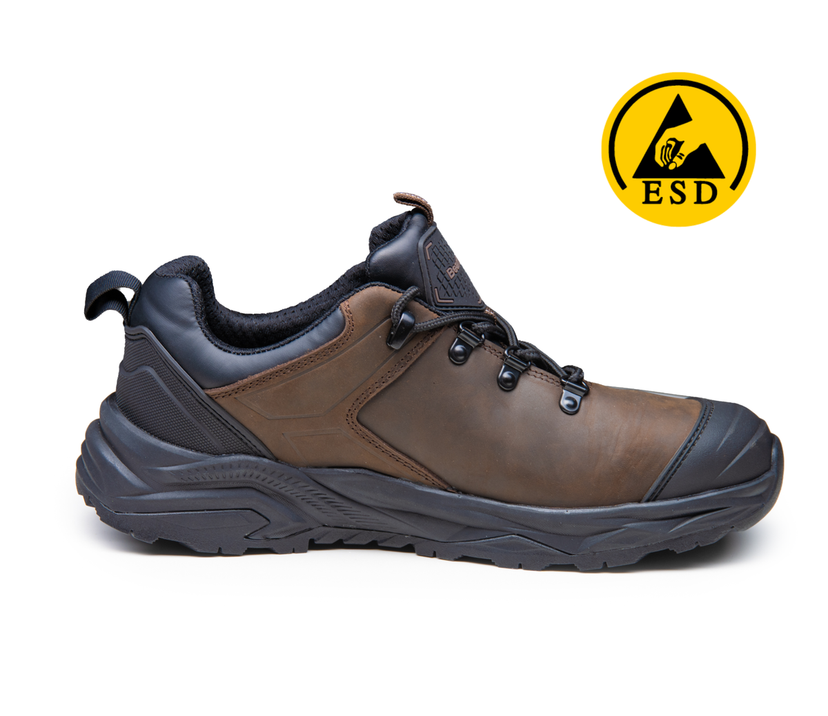 LOW SHOES BEARFIELD (BBTP)