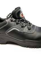 BEARFIELD LOW SHOE R03 LICO S3 SRC