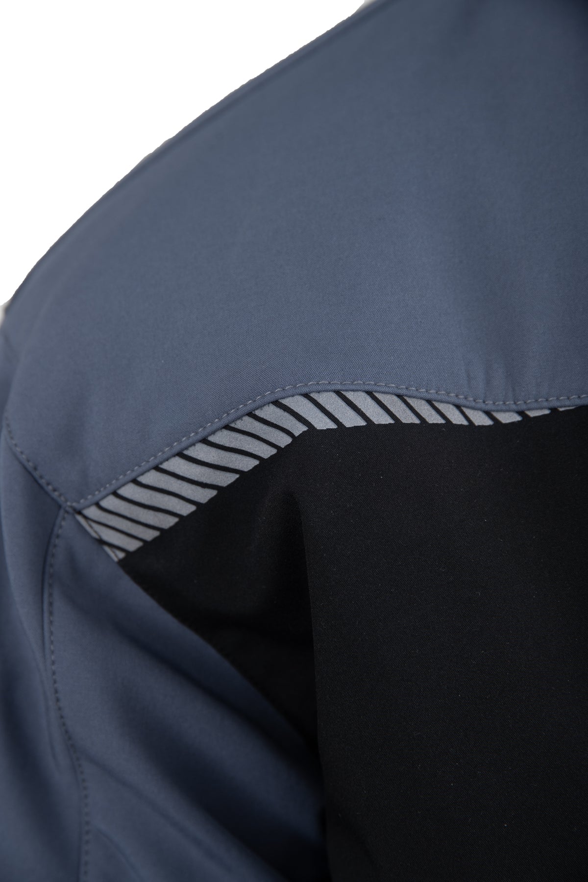 JACKETS SEVEN KINGS. (A8SO)