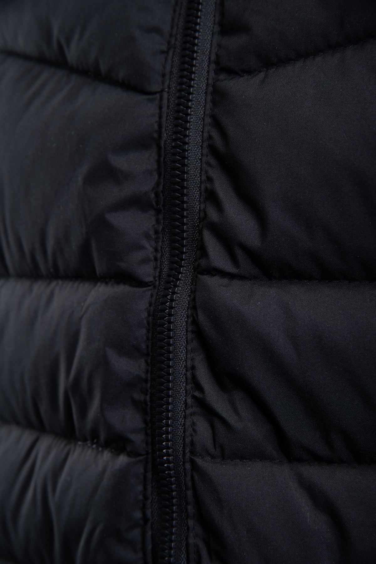 VESTS SEVEN KINGS (OIKC)