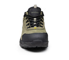 LOW SHOES BEARFIELD (BBFP)