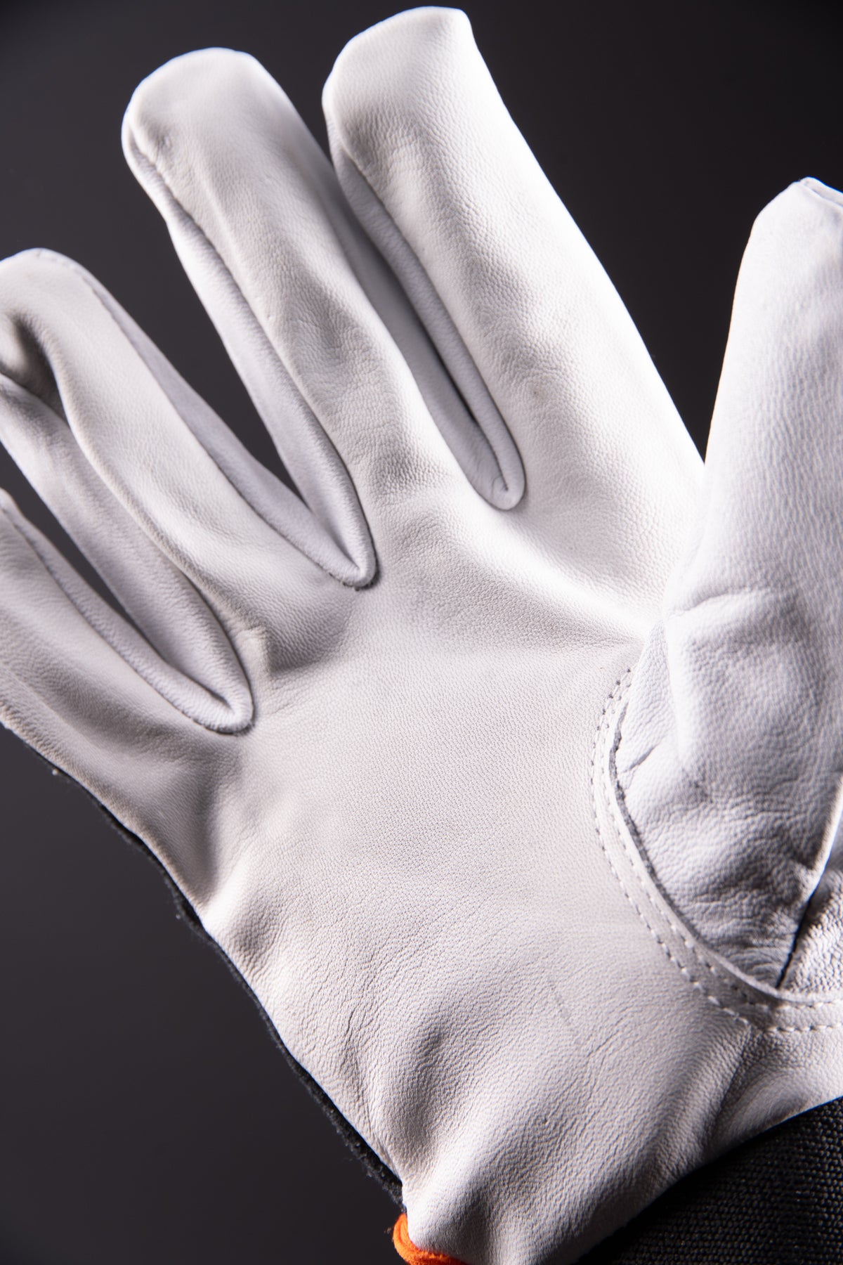 LEATHER REINFORCED CABRA (RSCV)
