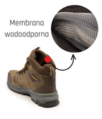 ANKLE SHOES BEARFIELD (BBXT)