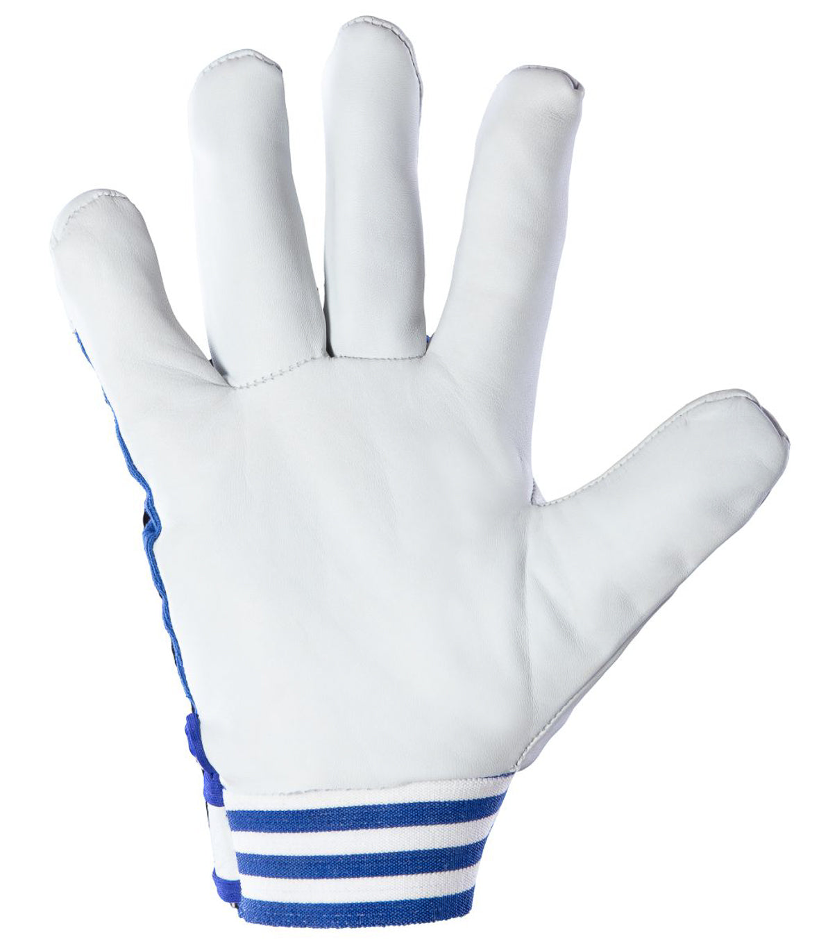 CABRA BLUE GLOVES CAT. II