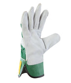 G1 GREEN (4233X)