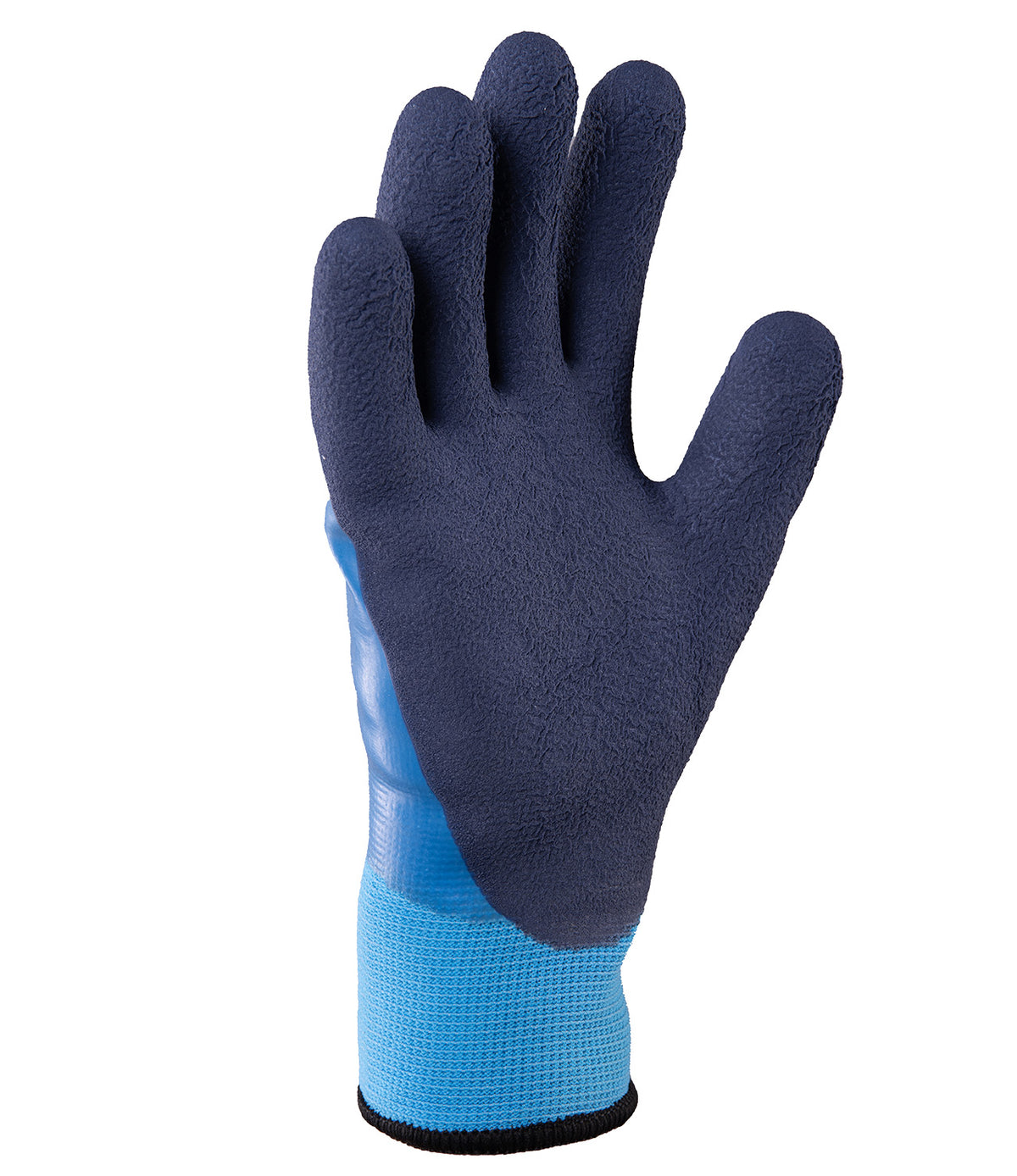 GLOVES RAPTOR WINTER