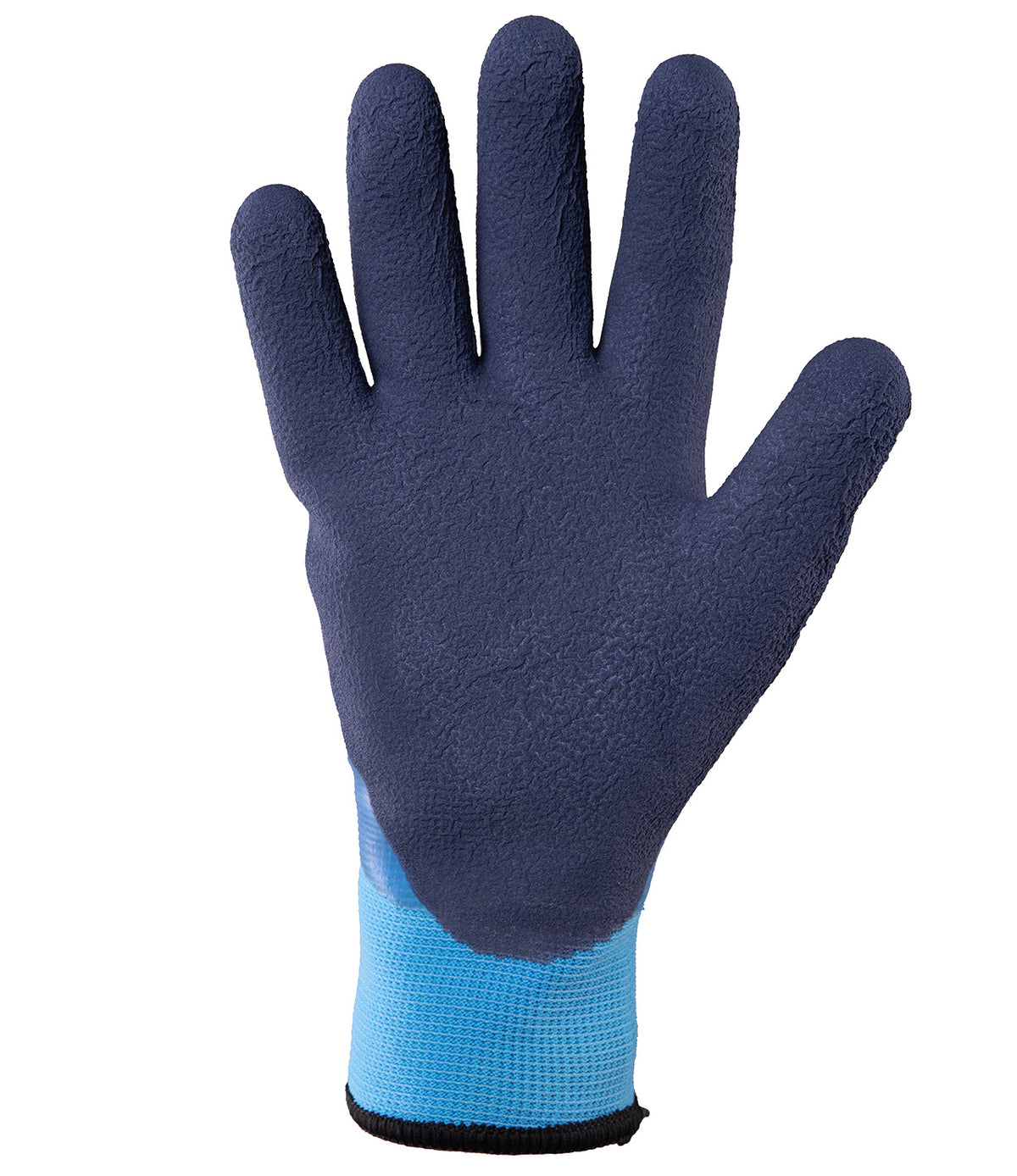 GLOVES RAPTOR WINTER