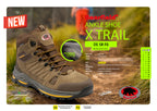 ANKLE SHOES BEARFIELD (BBXT)